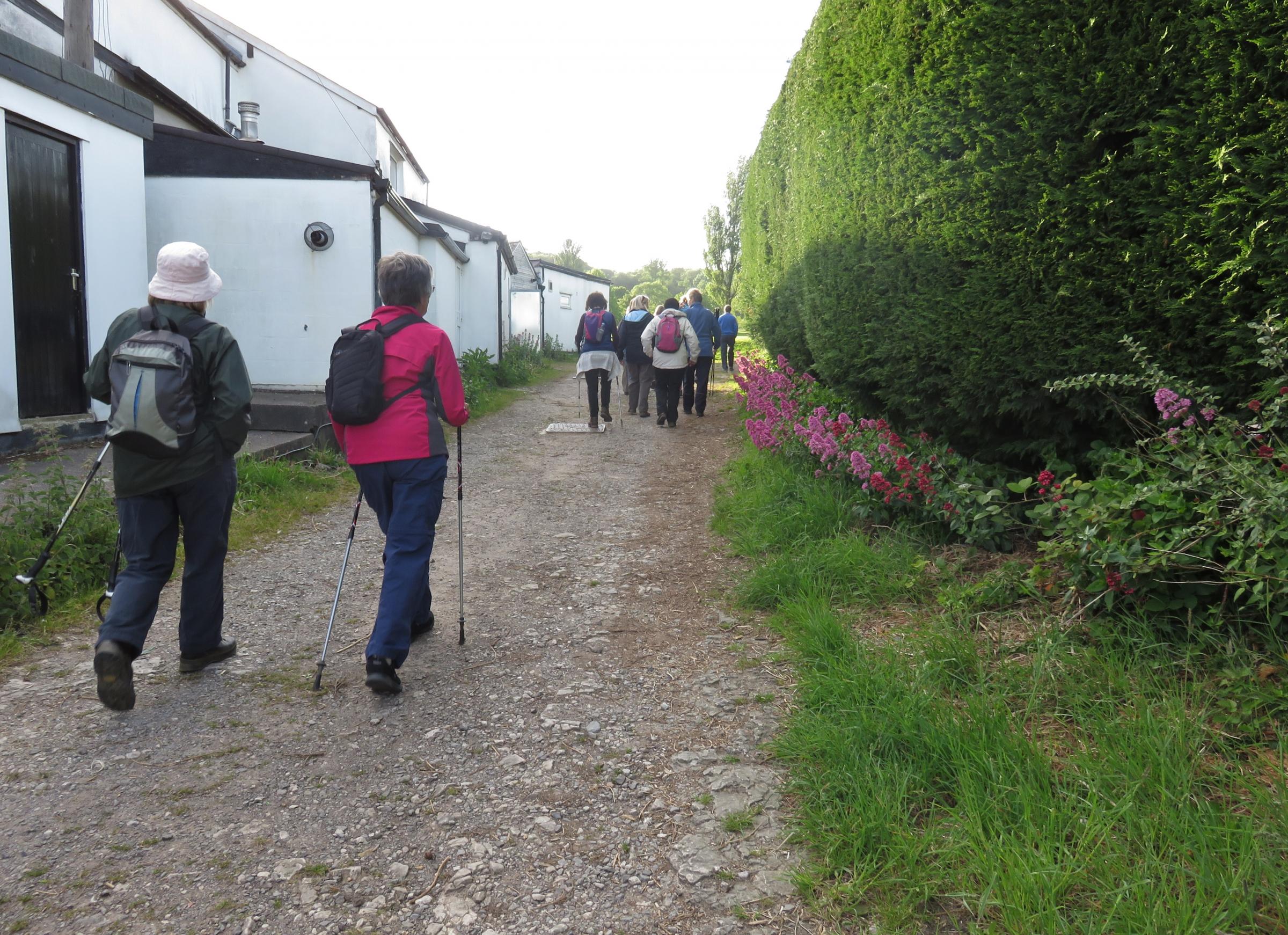 Spring Evening Walk In Dinas Powys Penarth Times